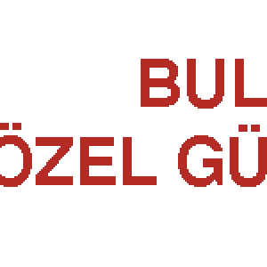 BULUT 1 ÖZEL GÜVENLİK HİZMETLERİ
